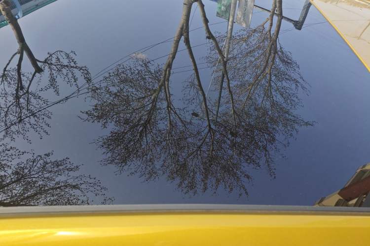 Used Volkswagen Polo 2019 Plus 1.5L Automatic Colorful Technology Edition Roof