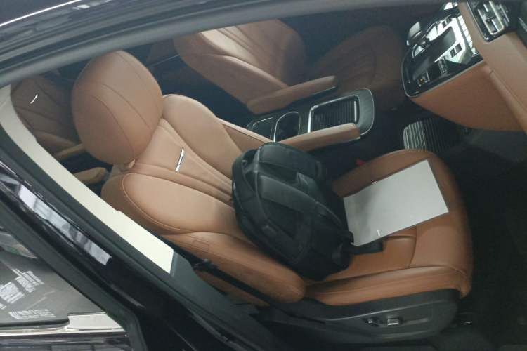 Used Hongqi HQ9 PHEV 2024 2.0T Four-Wheel Drive Business Edition Right Front Seat