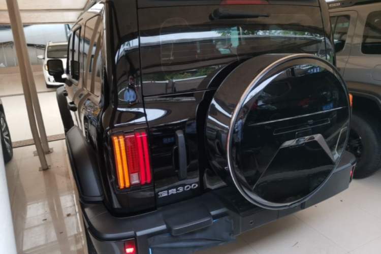 Used Tank 300 2024 2.0T Conqueror