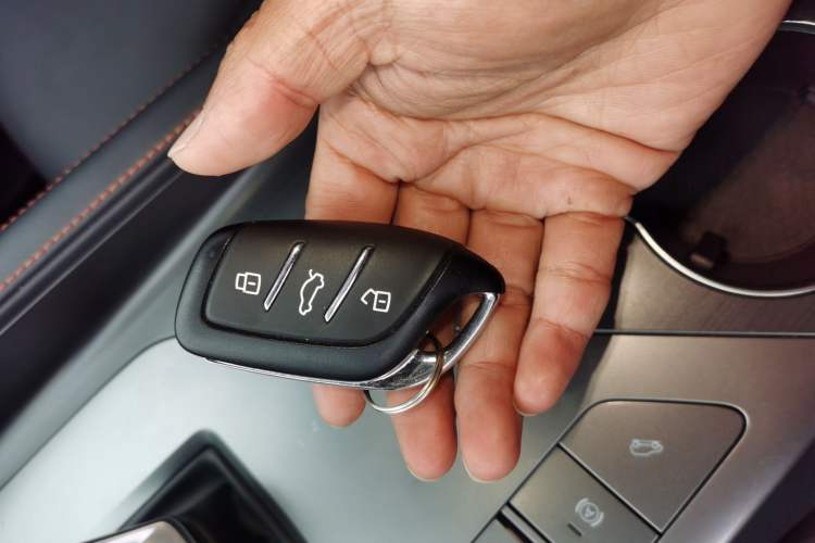 Used Roewe D5X DMH 2024 135 Luxury Edition
