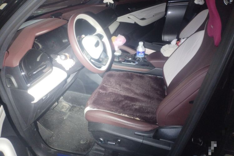 Used Geely Auto Monjaro L 2024 2.0TD High-Power Automatic Two-Wheel Drive Yunqi Version Left Front Seat