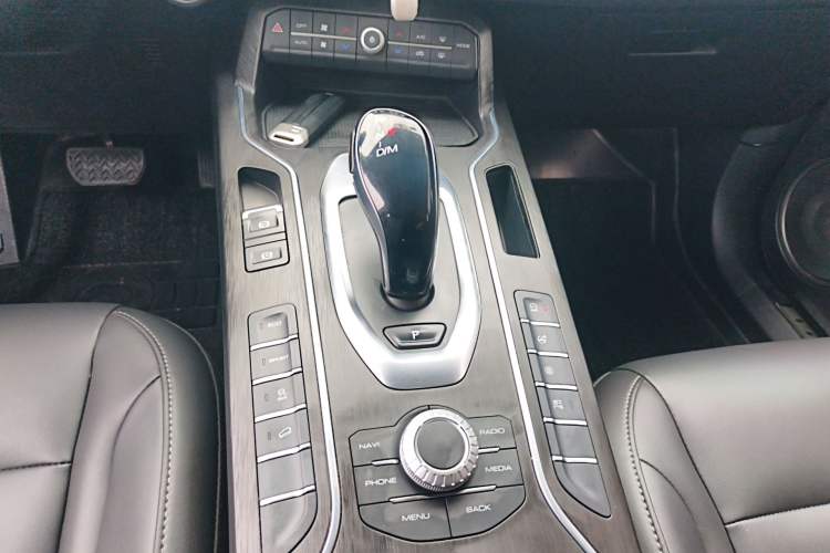 Used Wey VV5 2020 1.5T Two-Wheel Drive Color Pioneer