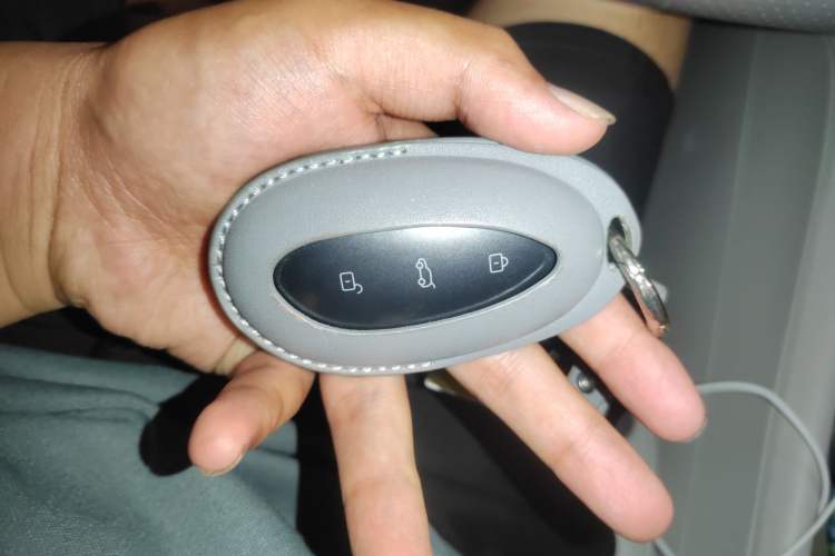 Used Rising R7 2022 Standard Advanced Version