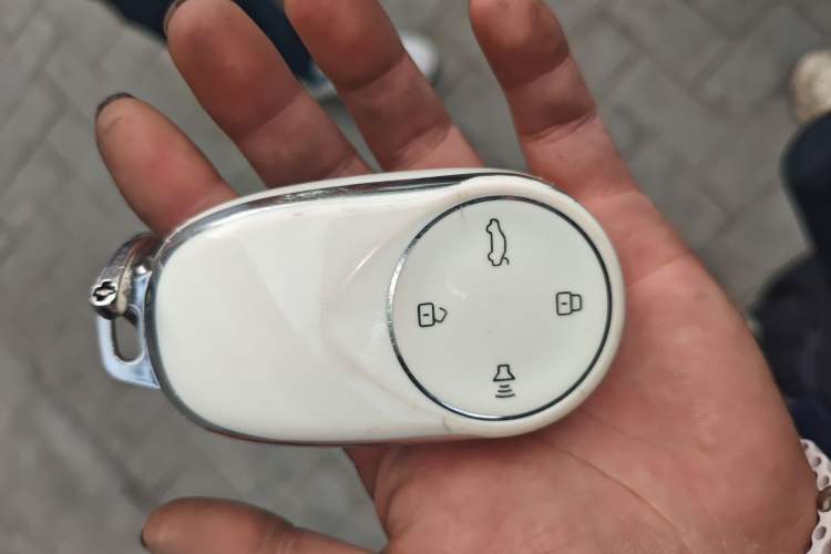 Used NETA S 2022 Extended-Range Version 1160 km Range Rear-Wheel-Drive Compact Edition Vehicle Key