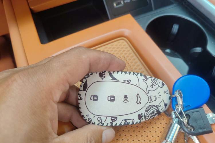 Used Wey Lanshan 2023 Four-Wheel Drive Ultra-Long Range Version