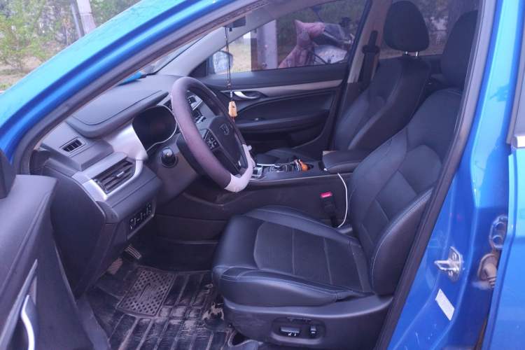 Used Geely Auto Emgrand New Energy 2018 EV450 Prestige Model Left Front Seat