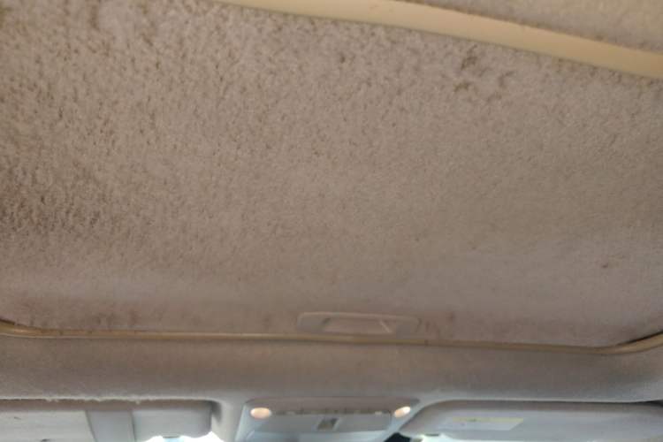 Used Nissan Terra 2018 2.5L Automatic 2WD Luxury Edition Headliner