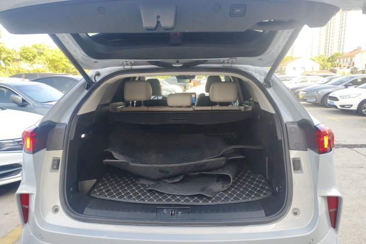 Used Wey Mocha 2021 2.0T Four-Wheel Drive Premium Edition