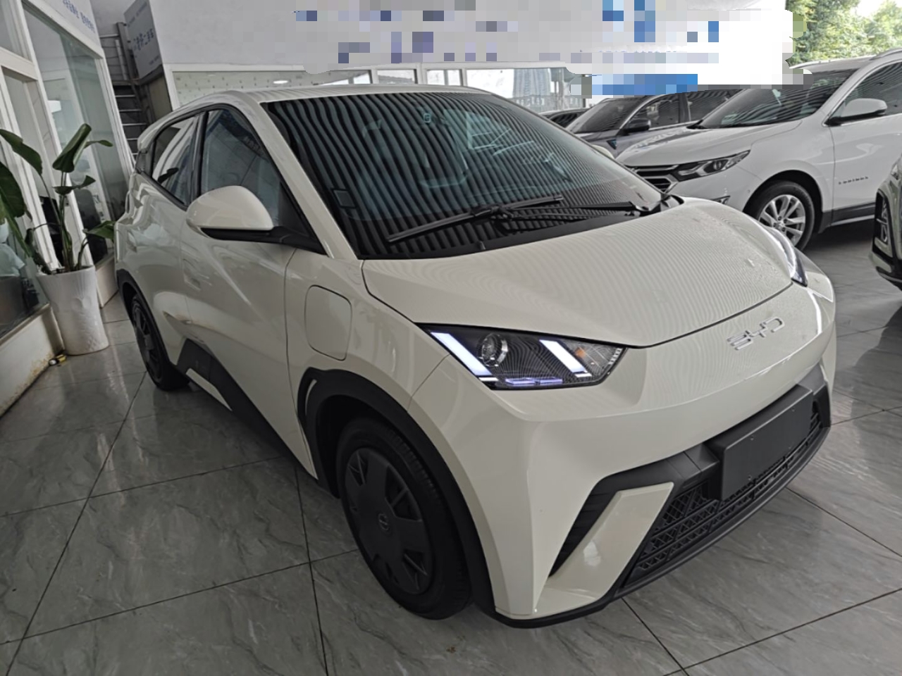 BYD Seagull 2024 Honor Edition 305km Freedom Version — снимка 3