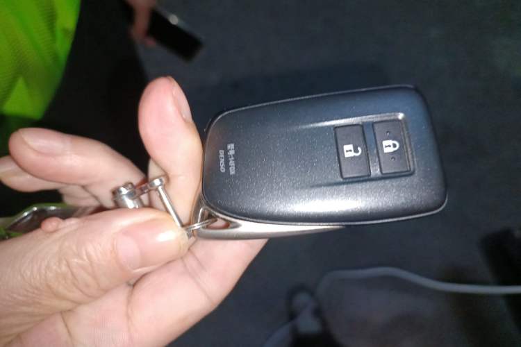 Used Lexus RX 2020 Revised Version 300 Two-Wheel Drive Elite Edition