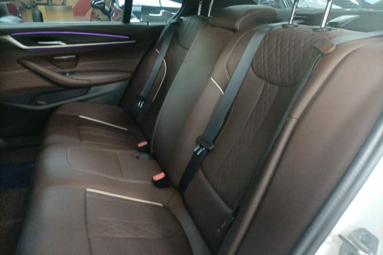 Used BMW 5 Series 2023 530Li Leading Model M Sport Package
