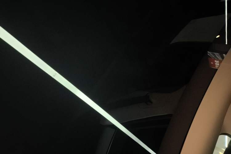 Used Tesla Model Y 2024 Rear-Wheel-Drive Version Headliner