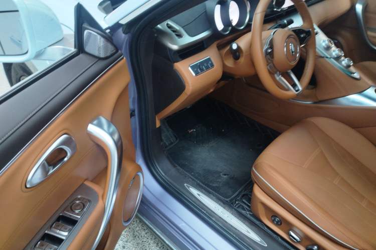 Used ORA Lightning Cat 2022 555 km Luxury Edition