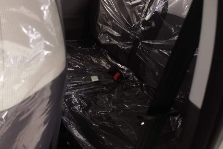 Used Qiyuan Lumin 2024 130km Qingyue Version