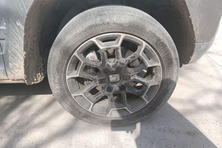 Used Tank 700 New Energy 2024 Hi4-T Extreme Edition
