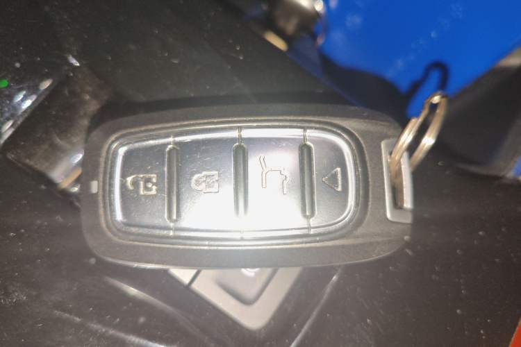 Used Haval DARGO 2021 2.0T DCT 4x4 Chinese Rural Dog Edition
