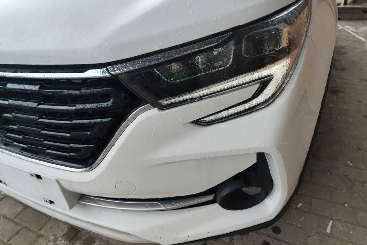 Used FORTHING T5 2020 1.5T Automatic Luxury Model China VI Standard
