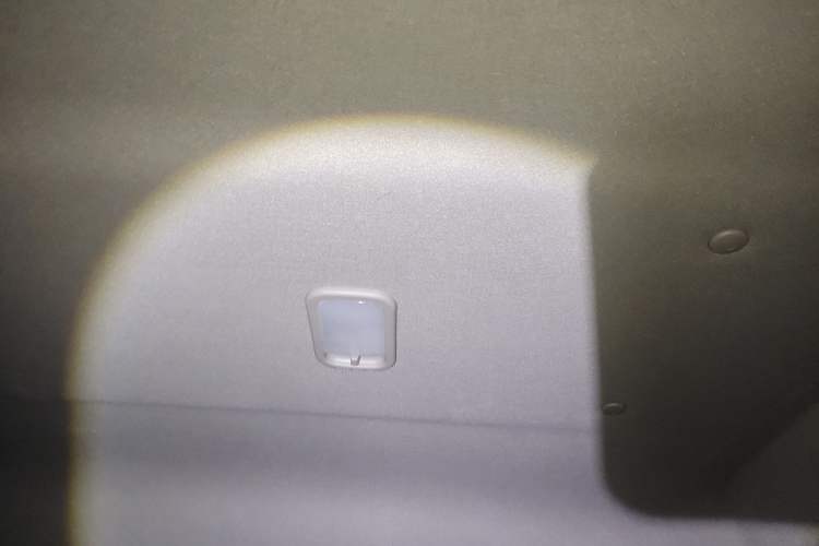 Used FORTHING Lingzhi 
