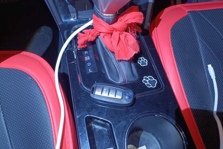 Used Venucia D60 2019 1.6L XL CVT Smart Connect Elite Edition