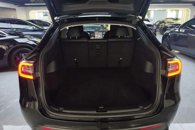 Used Tesla Model Y 2021 Long-Range All-Wheel-Drive Version 3D7
