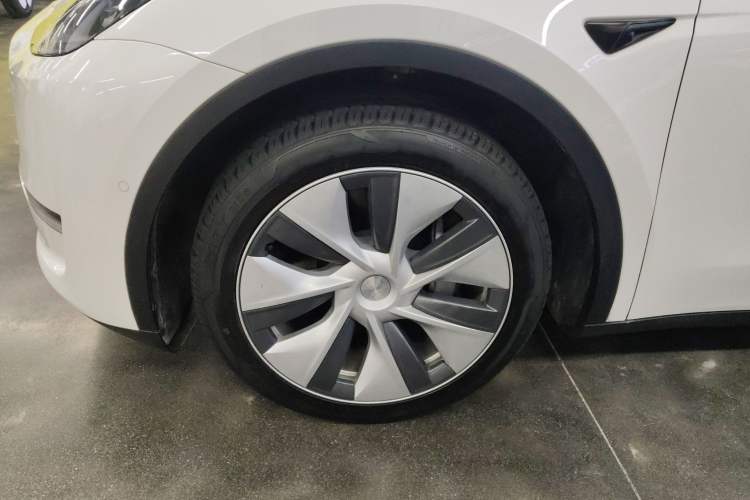 Used Tesla Model Y 2021 Standard Range Rear-Wheel Drive Version
