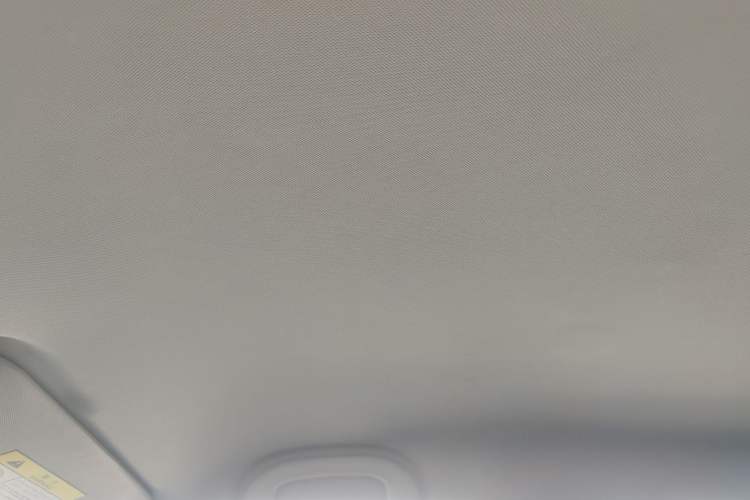 Used NETA V 2021 Standard Range Entertainment Edition
