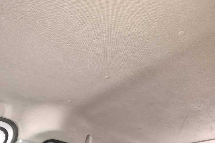 Used Wuling Yangguang 2024 300KM Comfort Version Passenger Van 75kW Headliner