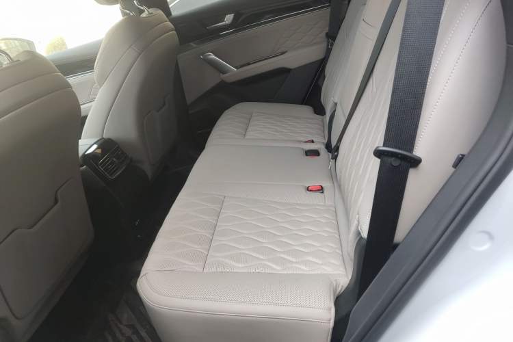 Used BYD Tang New Energy 2025 Intelligent Driving Version DM-i 115KM Flagship Edition Left Rear Seat