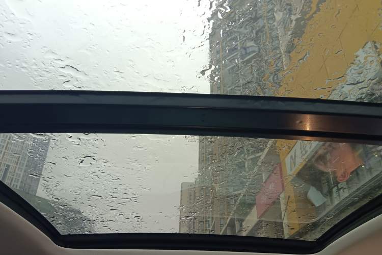 Used Ford Equator Sport 2025 EcoBoost 170 Platinum Edition Headliner