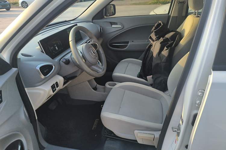 Used ORA White Cat 2020 360 km Luxury Version Left Front Seat