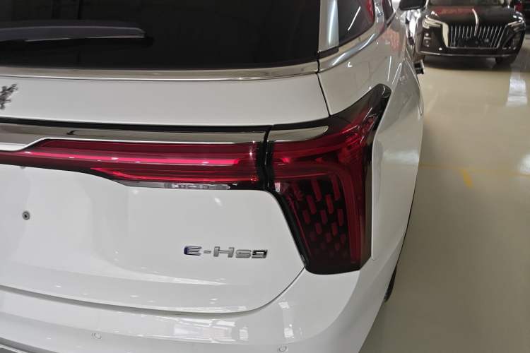 Used Hongqi E-HS9 2024 660 km Range Flagway Edition Six Seats
