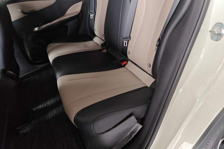 Used BYD Dolphin 2025 Smart Drive Version 420 km Freedom Edition Left Rear Seat