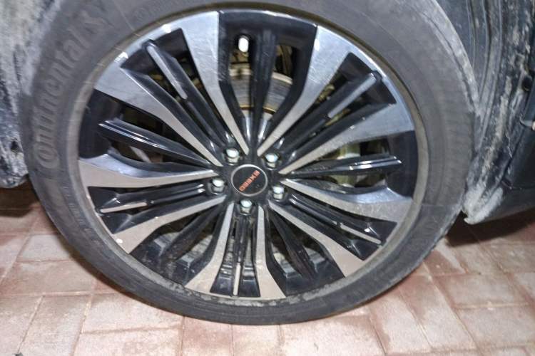 Used EXEED Lingyun 2024 300T Two-Wheel Drive Starlight Edition
