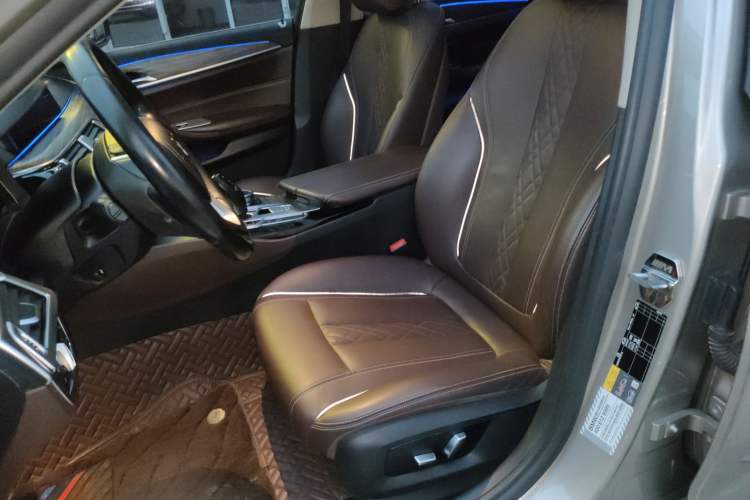 Used BMW 5 Series New Energy 2019 530Le Luxury Package