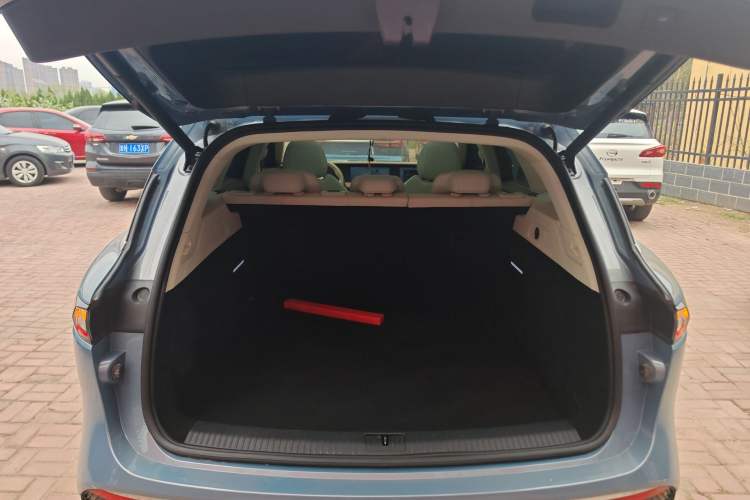 Used VOYAH FREE 2021 Four-Wheel Drive Standard Range-Extended Exclusive Luxury Package
