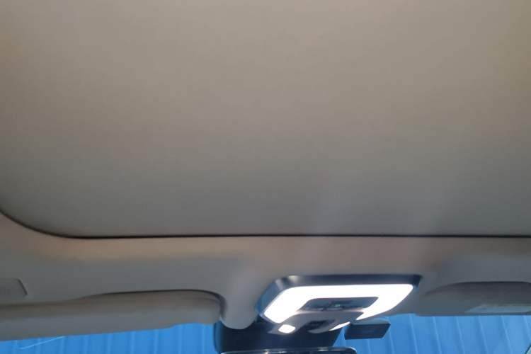 Used Hongqi H9 2020 2.0T Smart Connect Flagship Edition