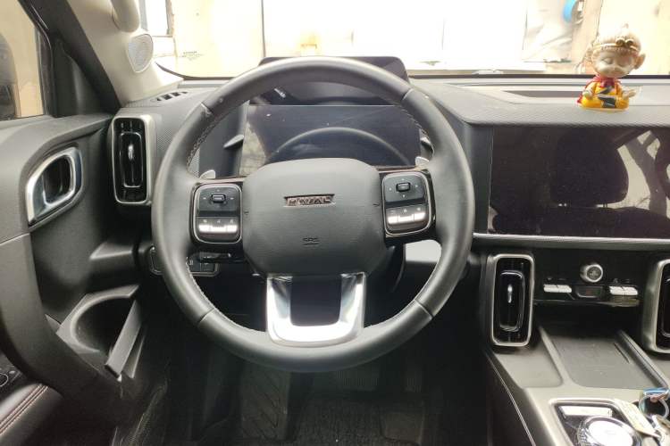 Used Haval DARGO 2024 2.0T DCT Chinese Rural Dog Edition