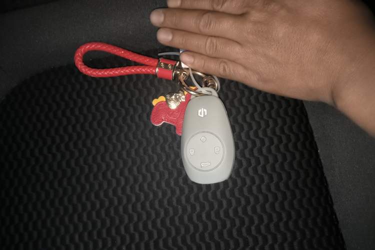 Used Leapmotor T03 2021 400 Lite Edition - Lithium-Ion Battery Interior 1