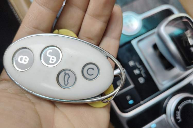 Used BYD Qin New Energy 2017 1.5T Luxury Model