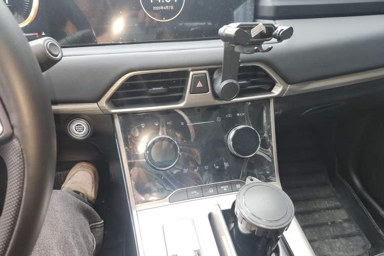 Used EXEED Lingyun 2021 290T Two-Wheel Drive Starry Edition
