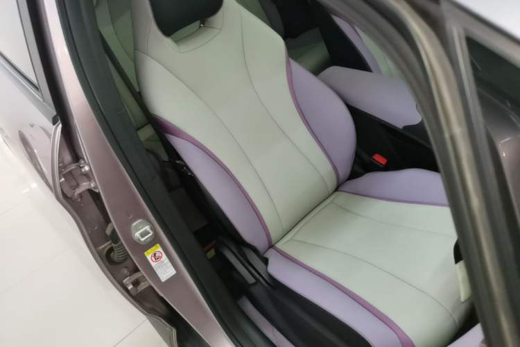 Used BYD Dolphin 2021 401km Knight Edition Right Front Seat