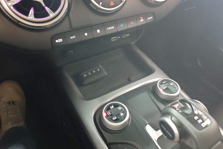 Used Tank 300 2024 2.0T Conqueror
