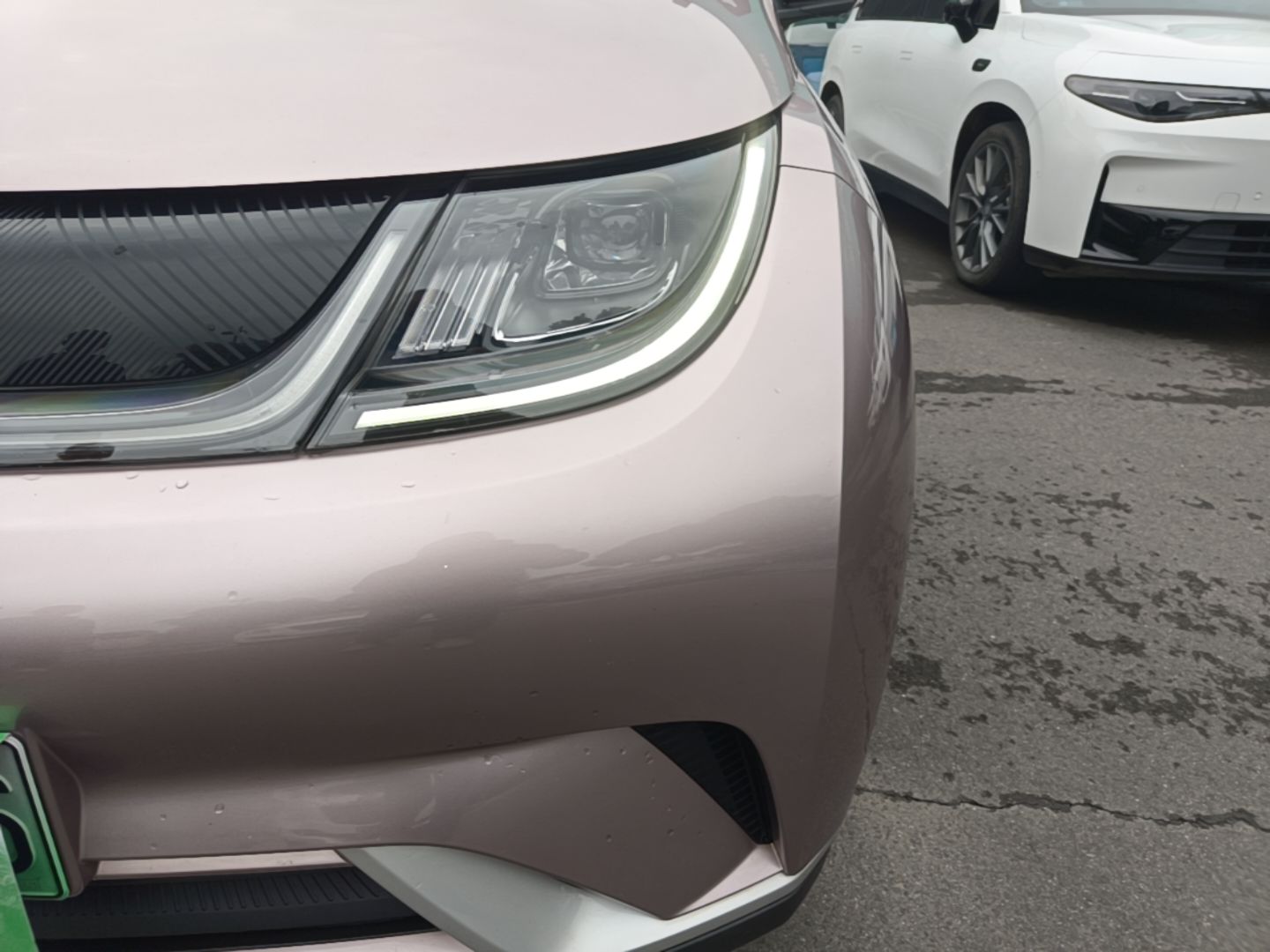 BYD Dolphin 2021 405 km Fashion Edition — снимка 8