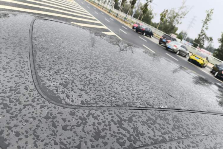 Used Audi Q8 2021 55 TFSI Luxury Dynamic Edition
