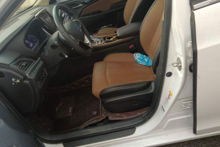 Used BYD Qin New Energy 2018 Qin EV450 Smart Connect Prestige Model
