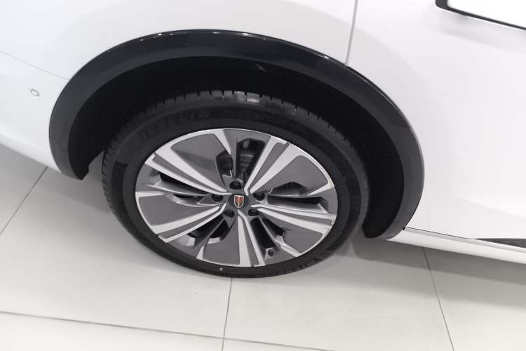 Used Hongqi E-HS9 2021 460 km Range Flagship Edition 7-Seater
