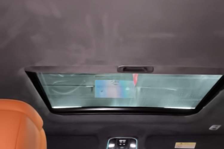 Used Tank 700 New Energy 2024 Hi4-T Extreme Edition Headliner