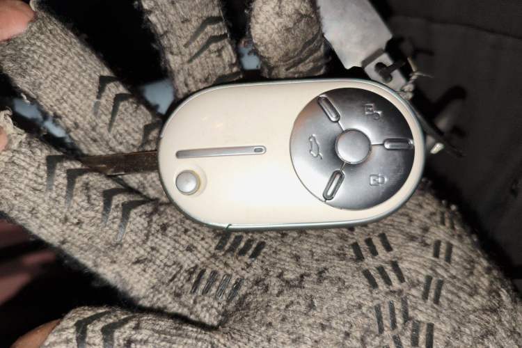 Used Bestune Pony 2024 170km Range Energizing Horse
