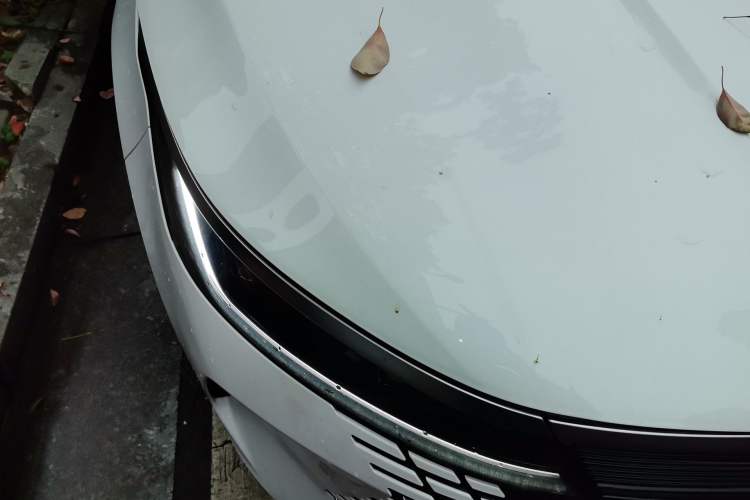 Used BYD Destroyer 05 2024 HONOR Edition DM-i 55KM Luxury Model Right Front Headlight