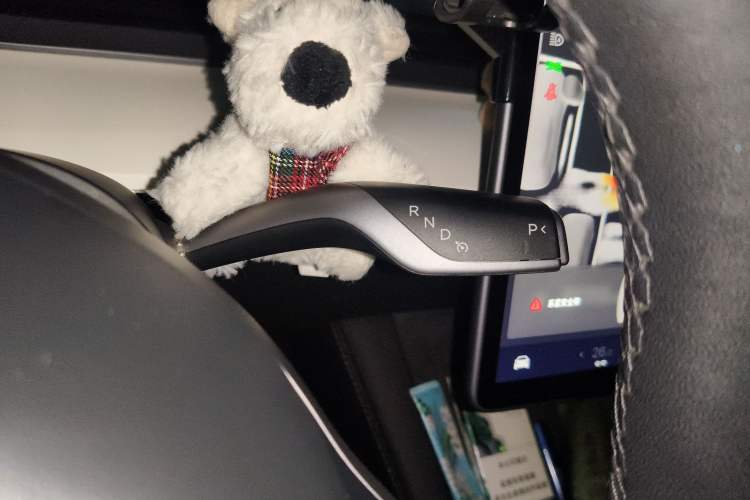 Used Tesla Model 3 2022 Rear-Wheel-Drive Version
